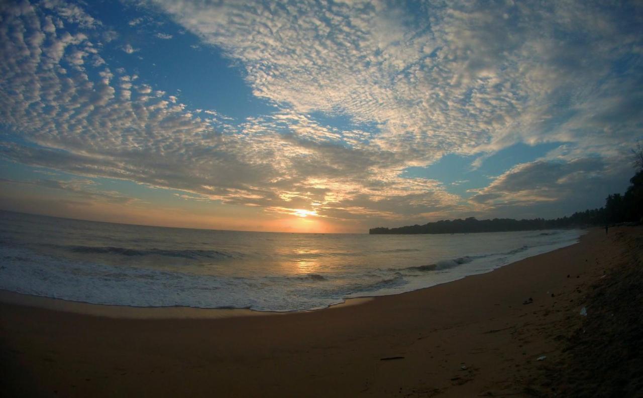 Feel The Waves Hotel Arugam Bay Bagian luar foto