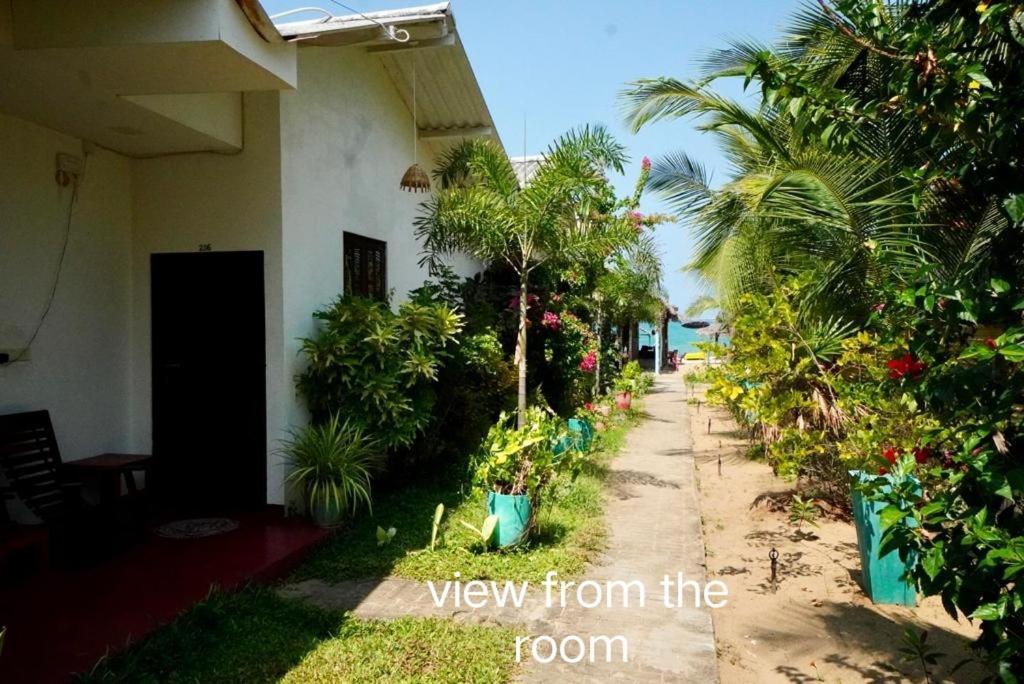 Feel The Waves Hotel Arugam Bay Bagian luar foto